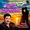 About Pyar Mohabbat Song