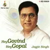 About Hey Govind Hey Gopal (Live) Song