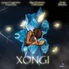 About Xongi Song