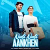 About Neeli Neeli Aankhein Song