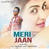 Meri Jaan