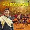 About Haryanvi Song