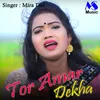 About Tor Amar Dekha Song