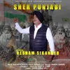 About Sher Punjabi Song