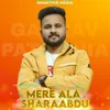 About Mere Ala Sharaabdu Song