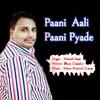 About Paani Aali Paani Pyade Song