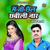 About Dilaivar Babu Kar Ke Preet Song