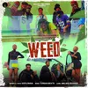 About Weed Song