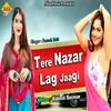 About Tere Nazar Lag Jaagi Song