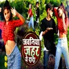 About Jawaniya Jahar Ye Dada Song