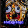 About Namaste Prabhu Jagannath Song