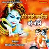 About Mere Chhote Kanhiya Bade Bhole Song