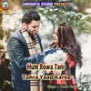 About Hum Rowa Tani Tohra Yaad Karke Song