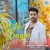 About Dil Kar Bagia Song