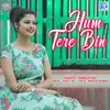 About Hum Tere Bin Song