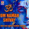 About Om Namah Shivay Dhun Song