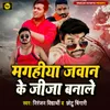 About Magahiya Jawan Ke Jija Bnale Song