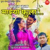 About Pahun Tula Mazya Fula Song