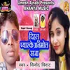 About Dihalu Pyarke Anmol Saza Song