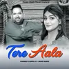 About Tere Aala Song