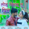 About Tod Dihalu Tu Dil Song