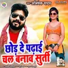 About Chhod De Padhaai Chal Banao Surti Song