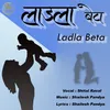 About Ladla Beta Song