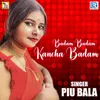 About Badam Badam Kancha Badam Song