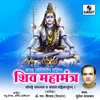 Om Namh Shivay Shiv Mantra - Suresh Wadkar