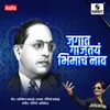 About Jagat Gajtay Bhimacha Naav Song