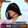 About Dil He Mat Tode Song