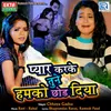 About Pyar Karke Tune Humko Chhod Diya Song