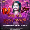 About Mora Kancha Haladi Dehata DJ Remix Song
