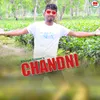 About Chandni Song