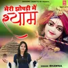 About Meri Jhopadi Me Shyam Song