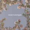 About modern premigalu (feat. Harshitha Jois) Song