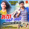 About Maya Badhte Jahi Song