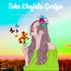 About Toke Khojela Goriya Song