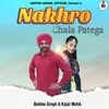 About Nakhro Chala Patega Song