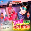 About Gulabi Farak Jaan Marela Song