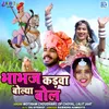 About Bhabhaj Kadwa Bolya Bol Song