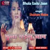 About Bhula Gailu Jaan Song