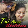 About Tui Amar Bhalobasa Song