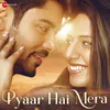 About Pyaar Hai Mera Song