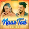 About Naar Teri Song