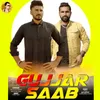 About Gujjar Saab Song