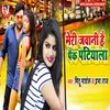 About Meri Jawani Hai Pack Patiyala Song
