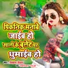 About Sali Ke Bulet Par Ghumaib Ho Song