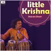 About Little Krishna Song