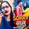 About Sorry Babu Song